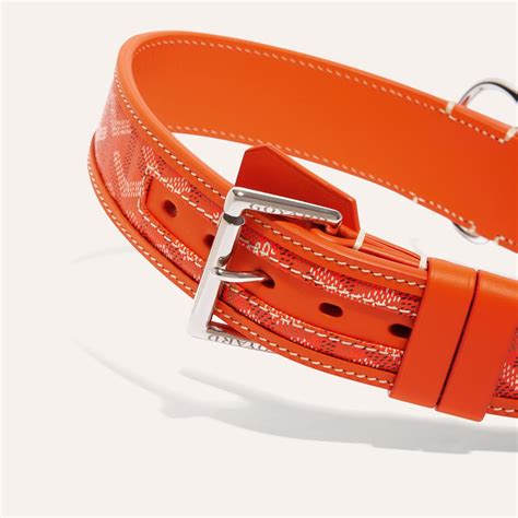 goyard dog collar resale|Goyard franklin collar.